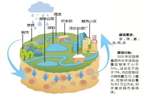 土壤,湿地等对水质的自然净化作用,使城市像"海绵"一样,对雨水具有